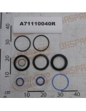 KIT HYD.CYL.GASKET A100 D40