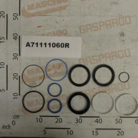 KIT SEALS HYDR.CYL.A110 D60