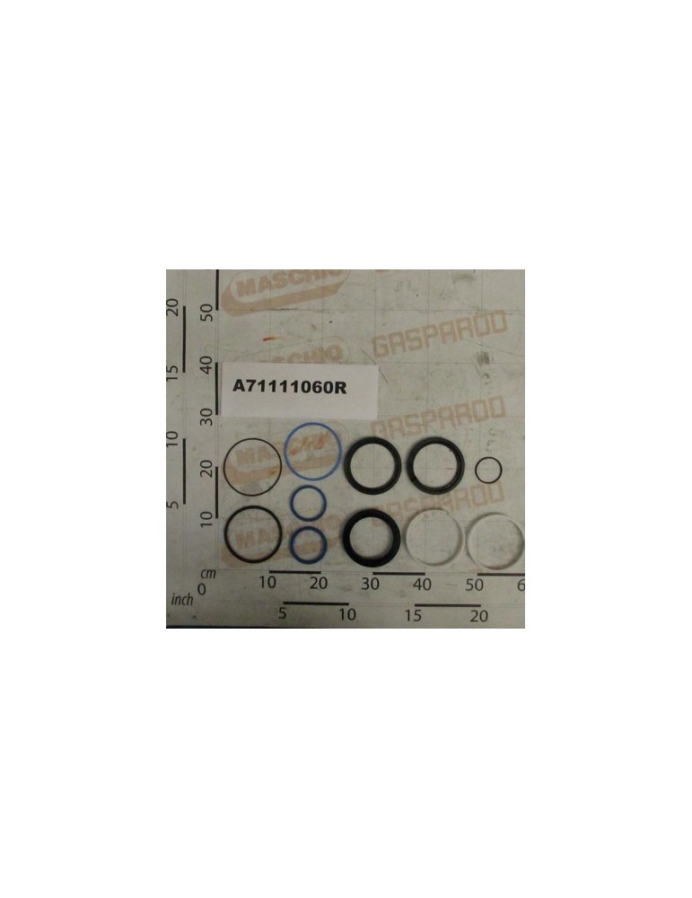 KIT SEALS HYDR.CYL.A110 D60