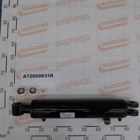 ASS.HYD.CYLINDER A110 D60 C475