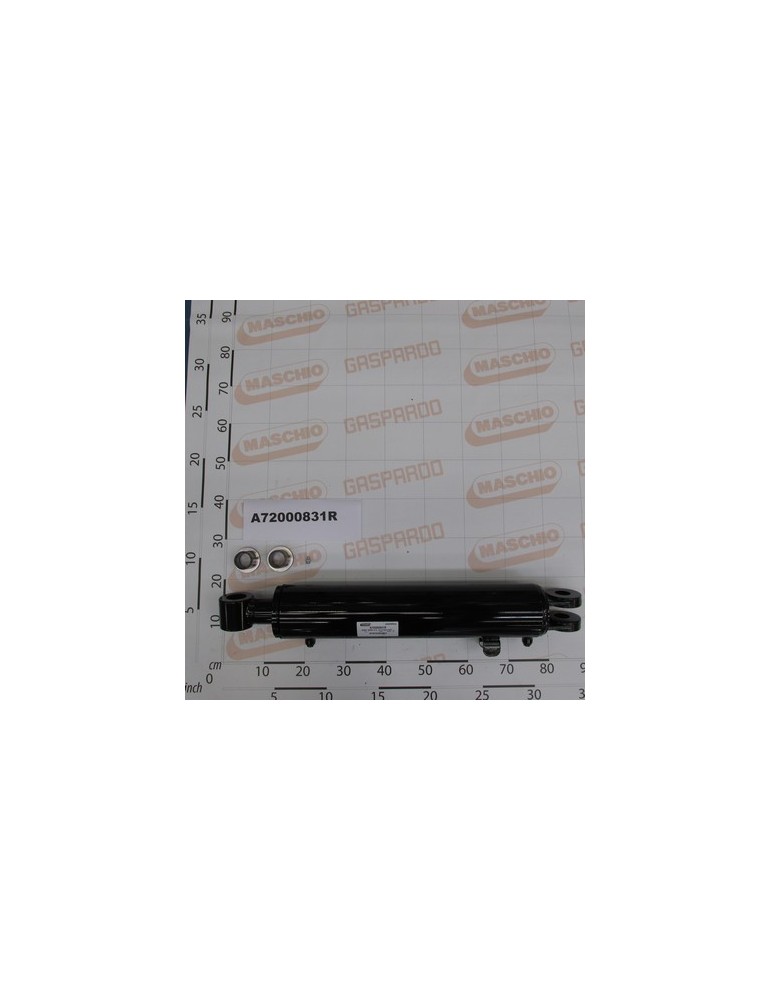 ASS.HYD.CYLINDER A110 D60 C475