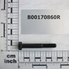BOLT