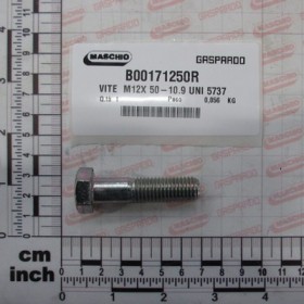 SCREW   TE M12X 50-10.9 UNI 57