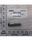 SCREW   TE M12X 50-10.9 UNI 57