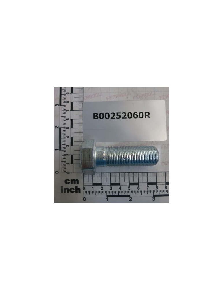 TE M20X1,5 X 60 GALVANIZED SCR