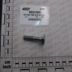 SCROW ZINC.TTQST M10X 65-4.6 U