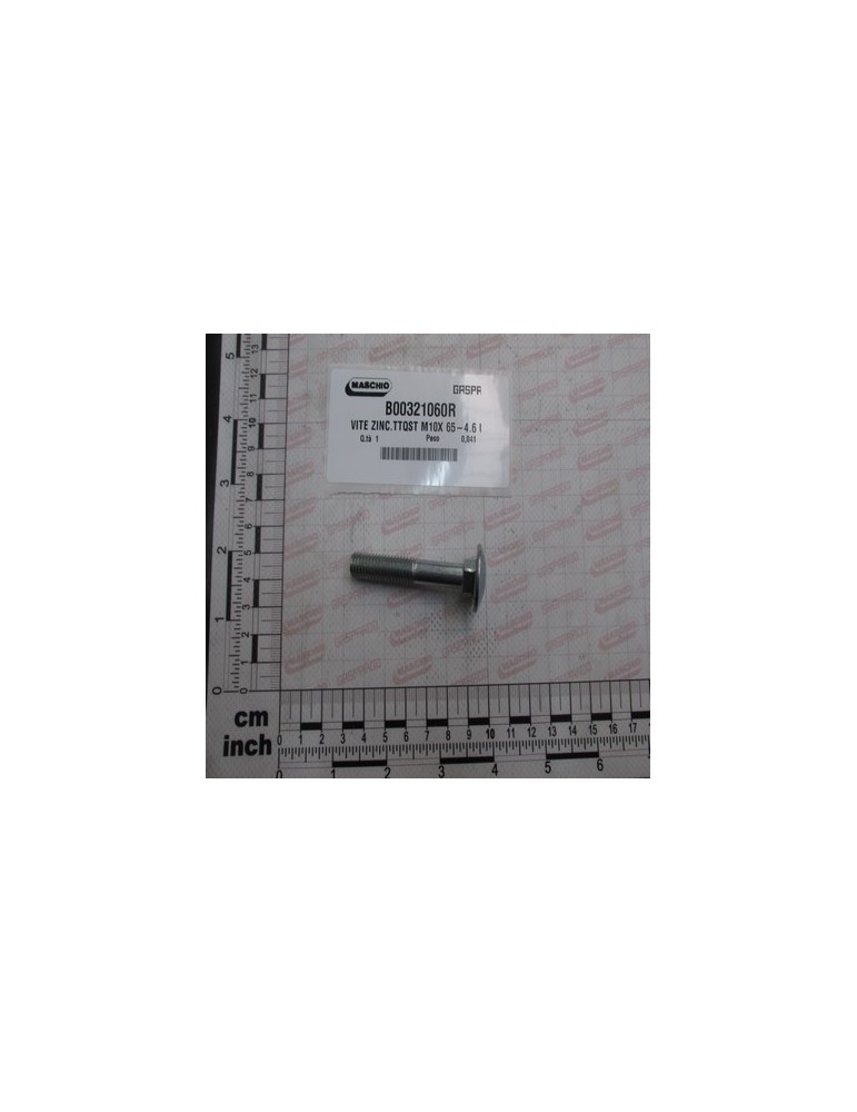 SCROW ZINC.TTQST M10X 65-4.6 U