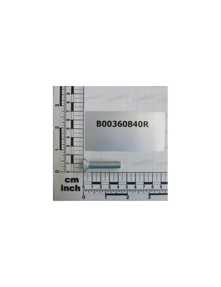 VITE ZINCATA TSPI M 8X 40-4.8.