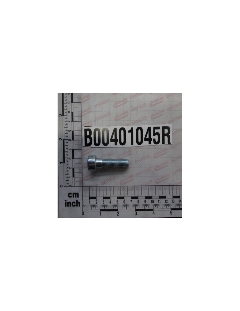 ZINC-PLATED SCREW