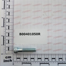 VITE ZINC.TCEI M10X 50-8.8   .