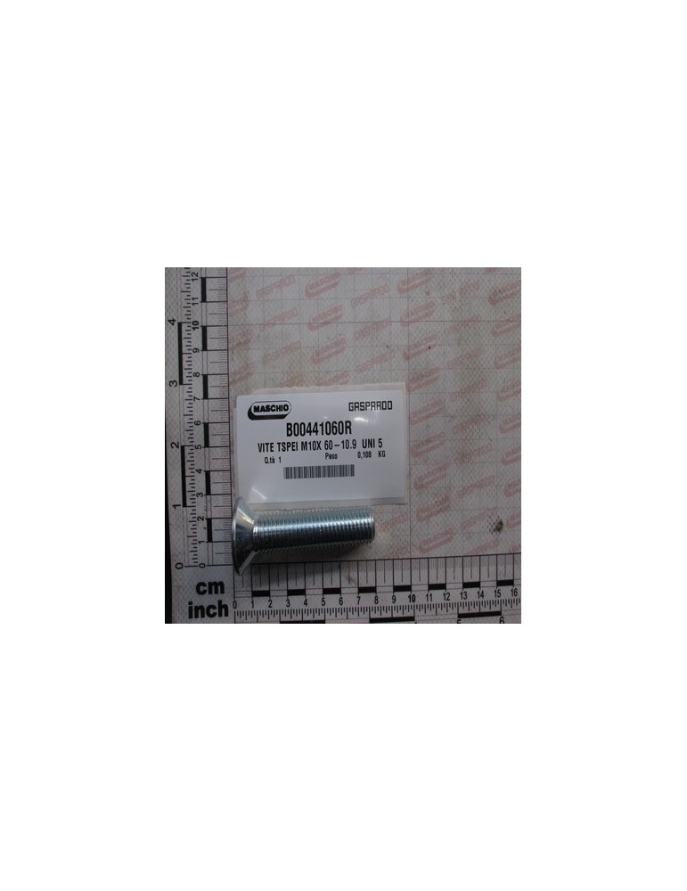 SCREW TSPEI M 10X60-10.9