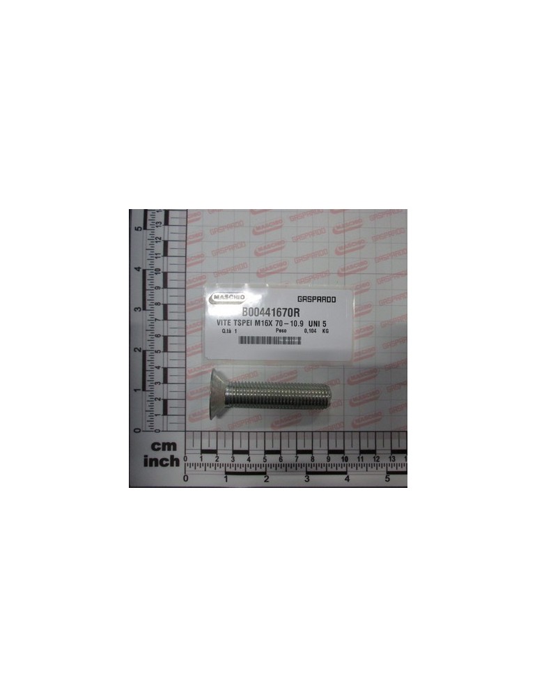 TSPEI ZINC PLATED SCREW