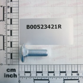 SPECIAL SCREW