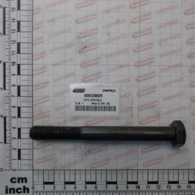 SPECIAL SCREW