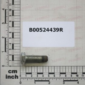 SPECIAL SCREW