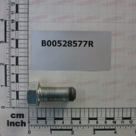 SPECIAL SCREW