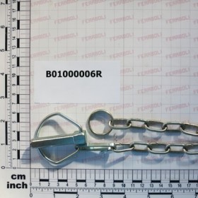 PIN