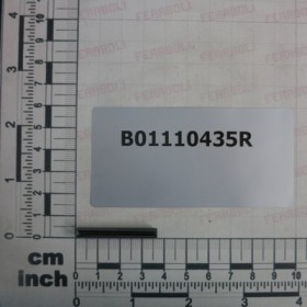 PIN