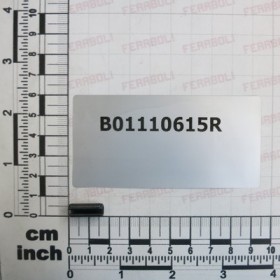 PIN
