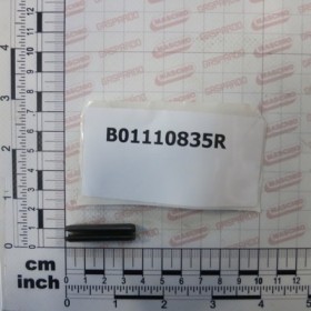PIN