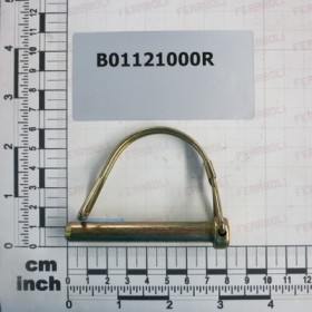 PIN