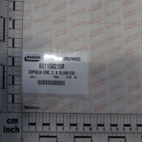 GALV PIN
