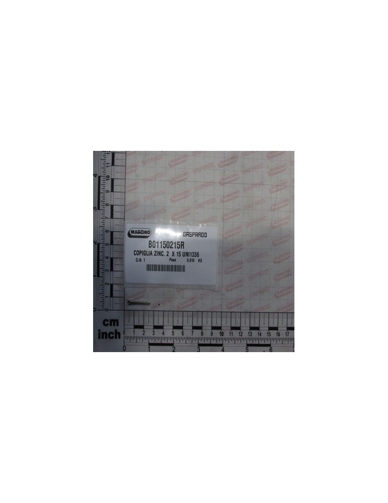GALV PIN