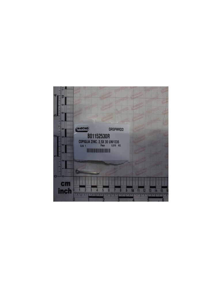 GALV PIN