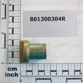 MAIN PIN