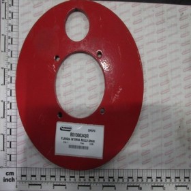 BIG ROLLER INNER FLANGE