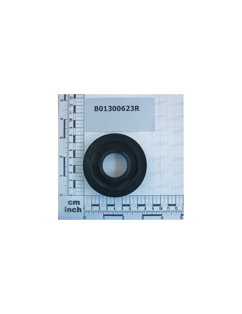 IDLE ROLLER LOCK