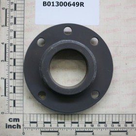 FLANGE