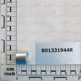 BUSH
