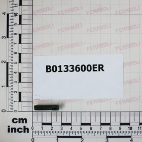 BRACKET BOLT