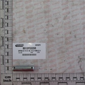 PIN Ã 15 X 56  N.2 FORI Ã 4