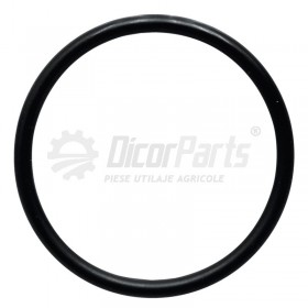 O-ring