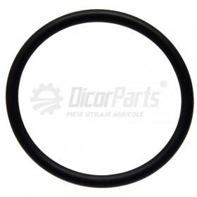 O-ring