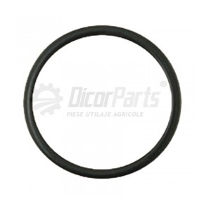 O-ring