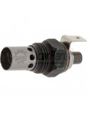 Bujie incandescenta