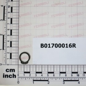 SEEGER RING
