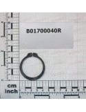 SEEGER RING