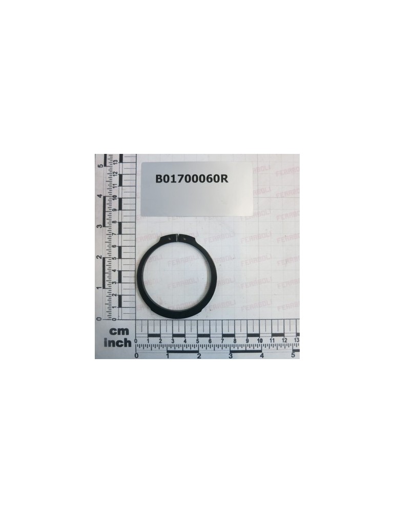 SEEGER RING