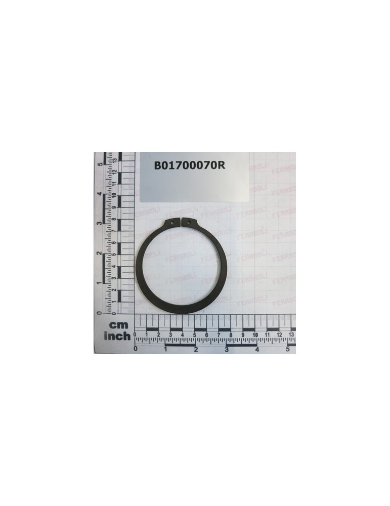 SEEGER RING