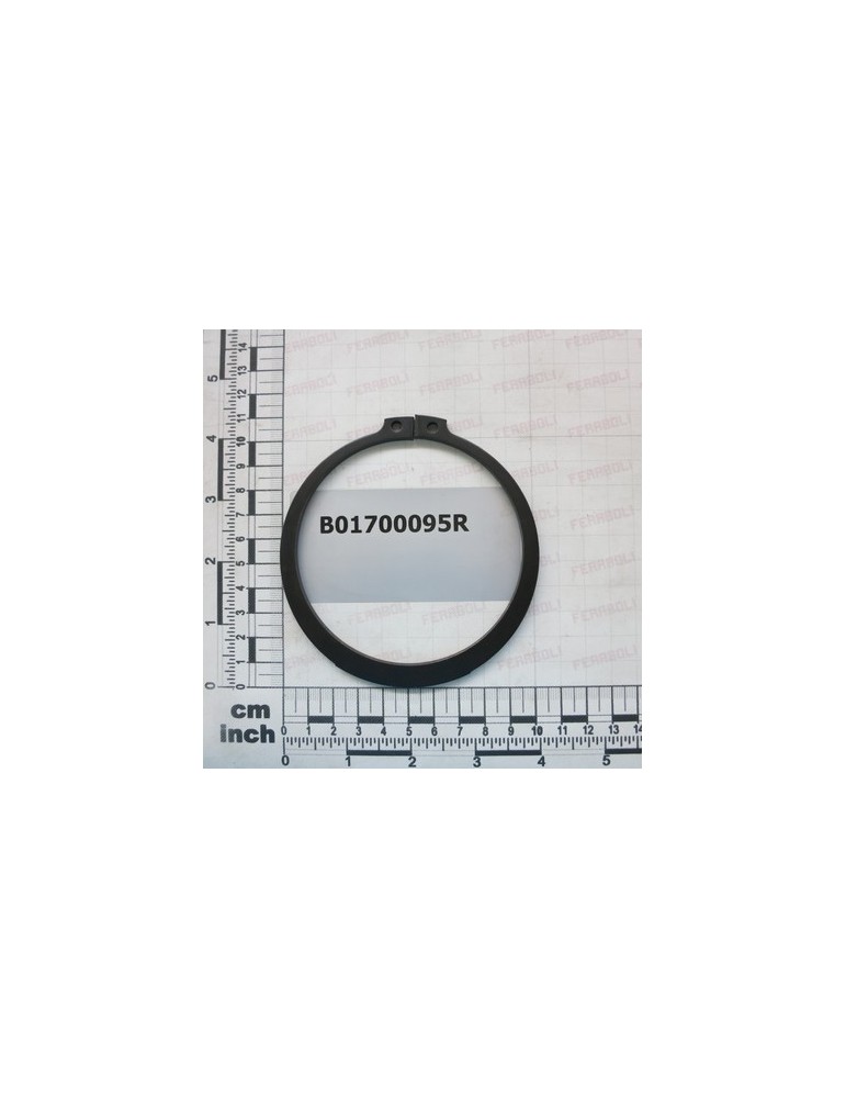 SEEGER RING