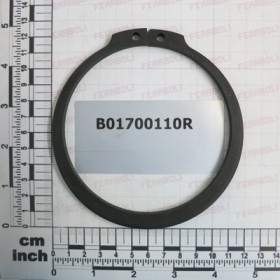SEEGER RING
