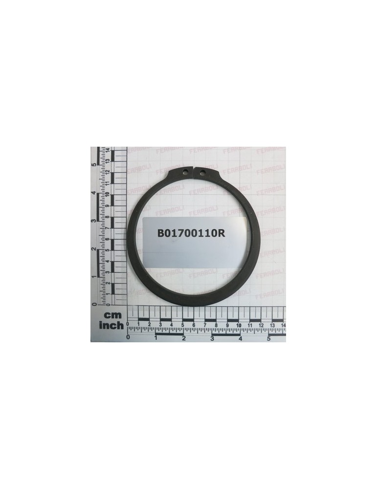 SEEGER RING