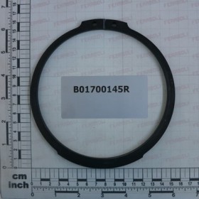SEEGER RING