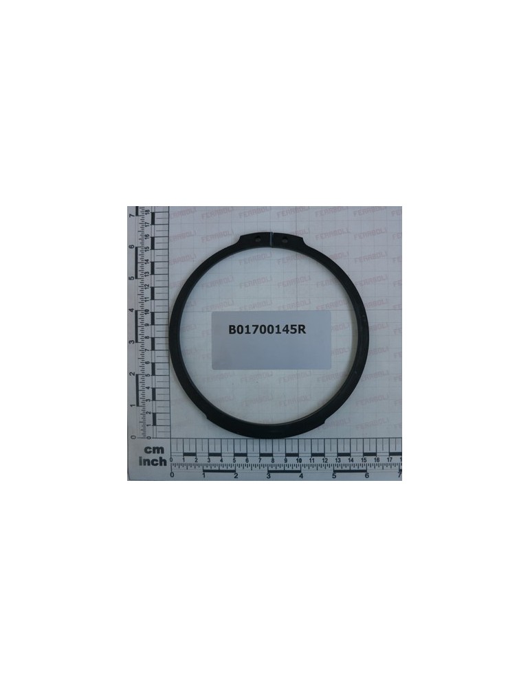 SEEGER RING