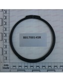 SEEGER RING