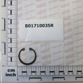 SEEGER RING